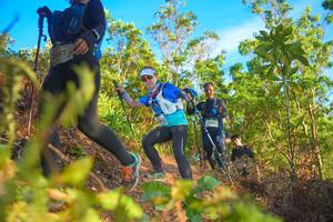 BIB: 2442, 2003, , 
                            <button type="button" onclick="openModal(21842077)" class="btn btn-primary btn-sm float-right btn-popup" data-toggle="modal" data-target=".modal-high-quality">
                        <i class="fas fa-shopping-cart"></i> Add to Cart
                    </button>
                                            <button type="button" onclick="isThisMe(21842077, true)" class="btn btn-success btn-sm float-right btn-popup btn-isme hidden" data-toggle="tooltip" data-placement="bottom" title="นี่คือรูปของคุณใช่ไหม คลิกที่นี่เพื่อเอาเข้าอัลบั้ม">
                        <i class="fas fa-plus"></i> Add to album
                    </button>
                    <button type="button" onclick="isThisMe(21842077, false)" class="btn btn-warning btn-sm float-right btn-popup btn-isnotme hidden">
                        <i class="fas fa-ban"></i> Remove from album
                    </button>